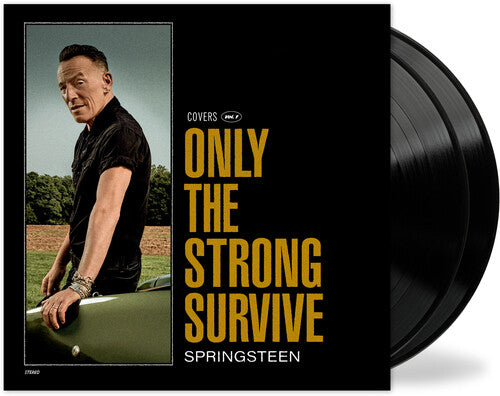 Bruce Springsteen Only The Strong Survive Vinyl Record Album