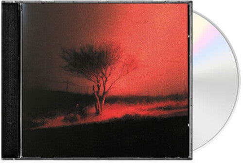 Joji - Piss In The Wind [CD]