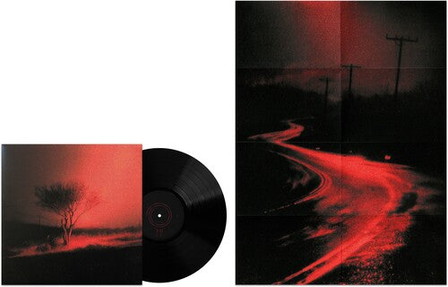 Joji - Piss In The Wind [Black Vinyl + Poster]